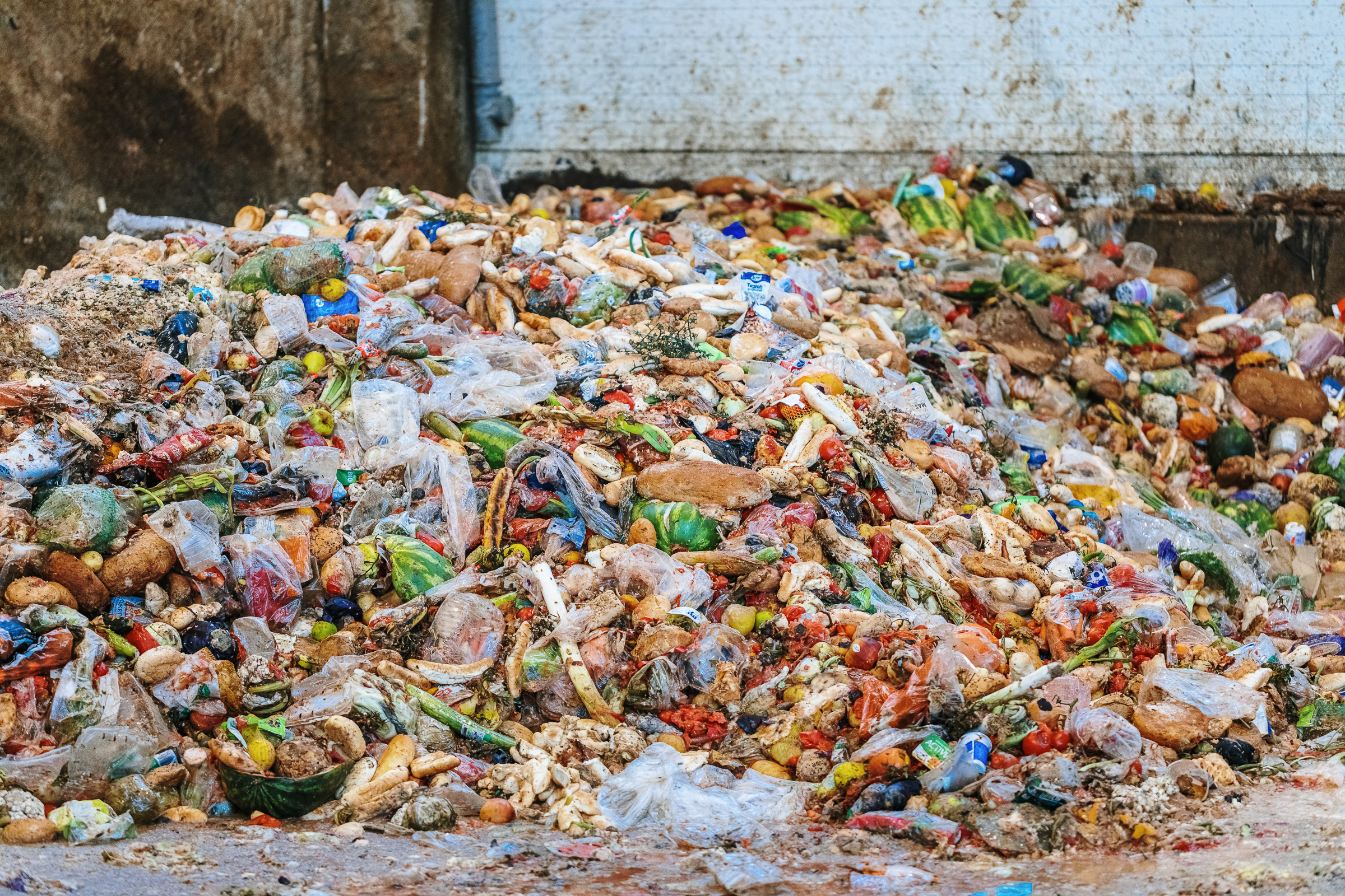 Konec skládkování se blíží: Šumperk a Opava omezují skládkování gastroodpadu o stovky tun ročně