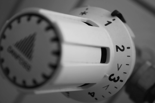 Projekt spalovny odmítnutý v referendu nahradí Písek kogenerační jednotkou