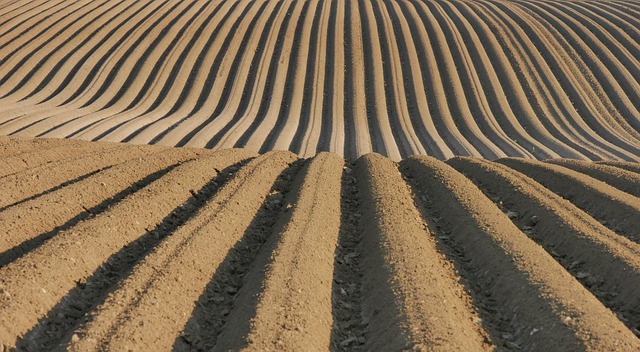 Analýza varuje před neomezeným schválením některých pesticidů v rámci balíčku Omnibus