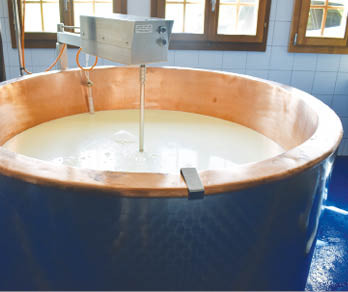 Odpad ze syrovátky a tofu se mění na materiál pro přímé zachytávání uhlíku